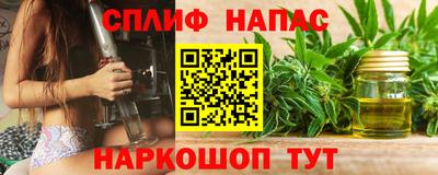 гашик Камышлов