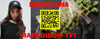гашик Камышлов