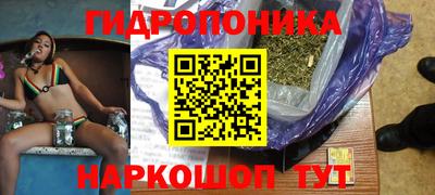 гашик Камышлов