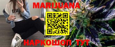 гашик Камышлов