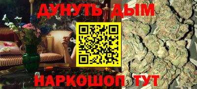 гашик Камышлов