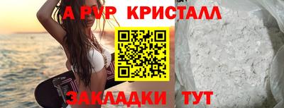 гашик Камышлов